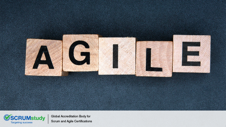 Assessing Feasibility When Using Agile 