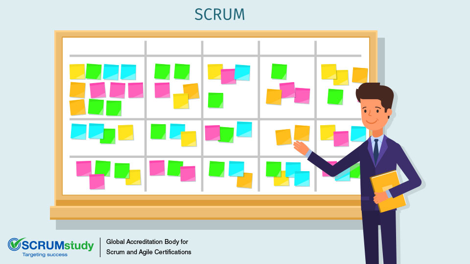 How to Choose Scrum Master(s) and Business Stakeholder(s)?